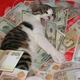 Illustration for article titled How to Make $7500 a Week by Working at Home with Google
